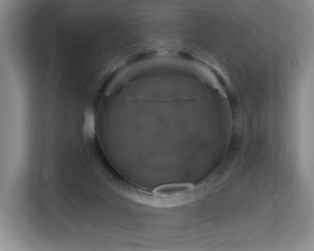 X0000112800027200908211142