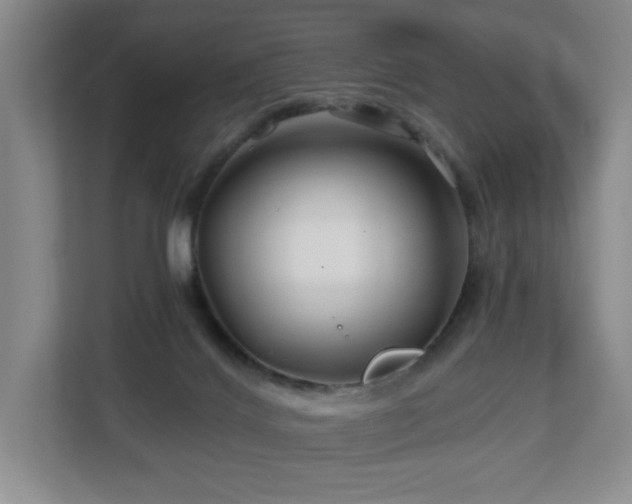 X0000112800028200908211142