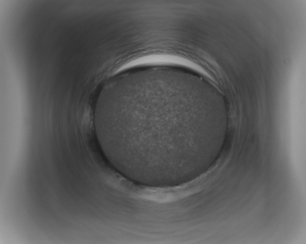 X0000112800029200908211142