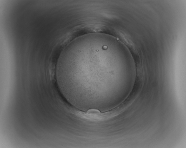 X0000112800030200908211142