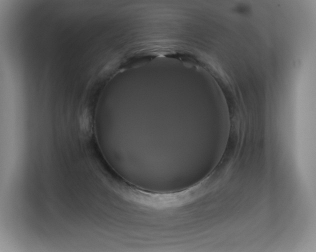 X0000112800031200908211142