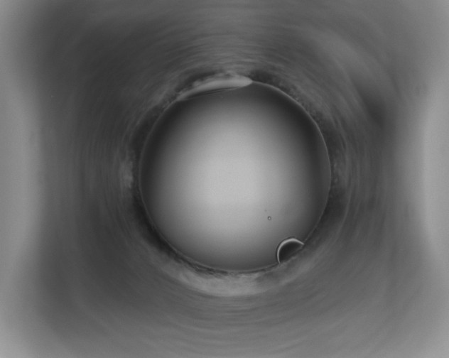 X0000112800032200908211142
