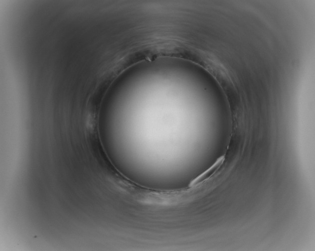 X0000112800033200908211142