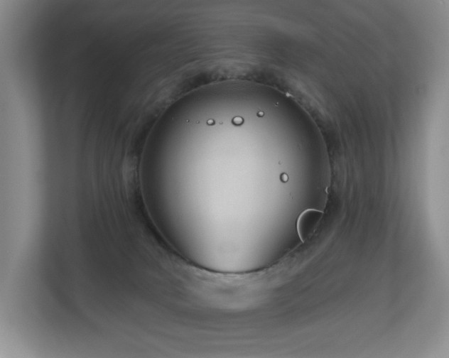 X0000112800034200908211142