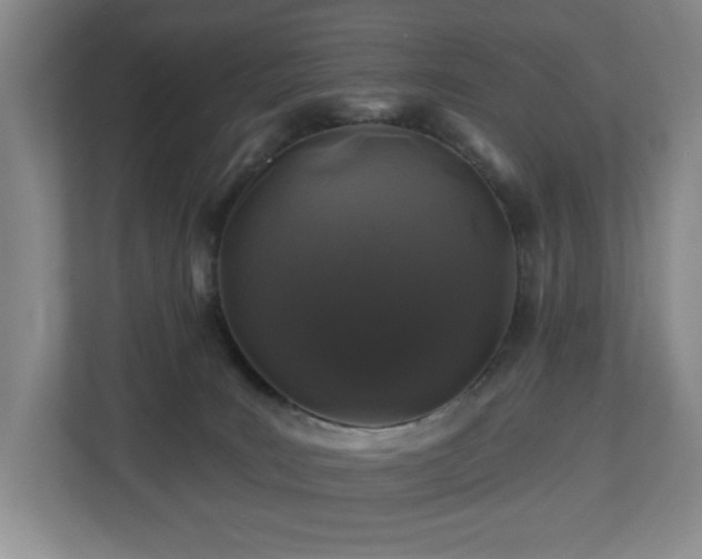 X0000112800035200908211142