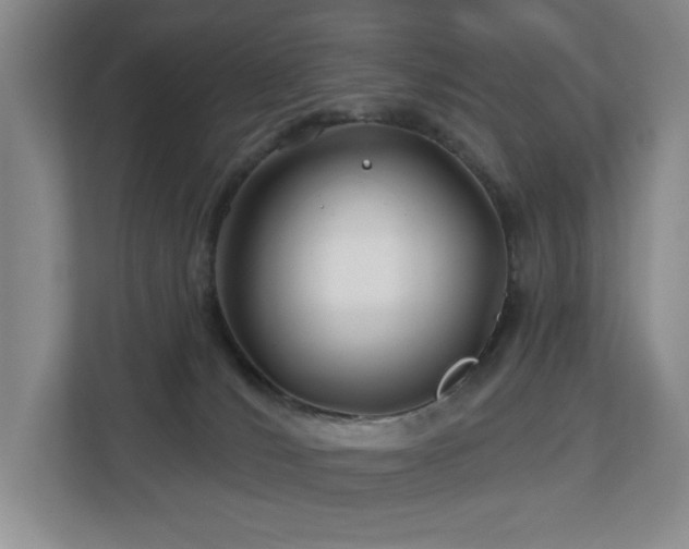 X0000112800036200908211142