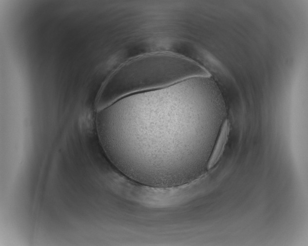 X0000112800037200908211142