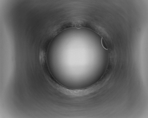 X0000112800038200908211142