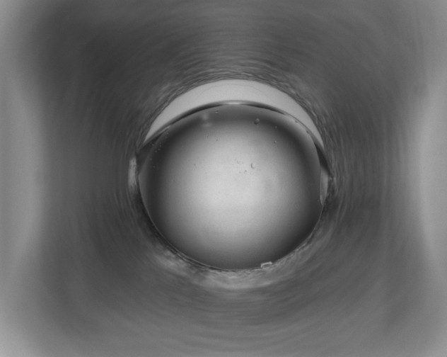 X0000112800041200908211142