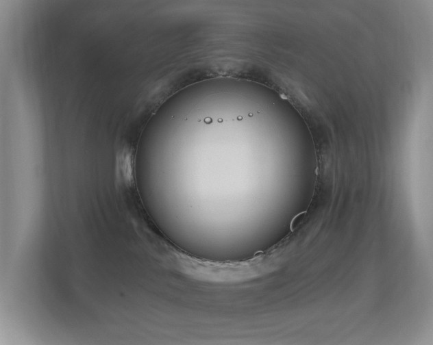 X0000112800042200908211142