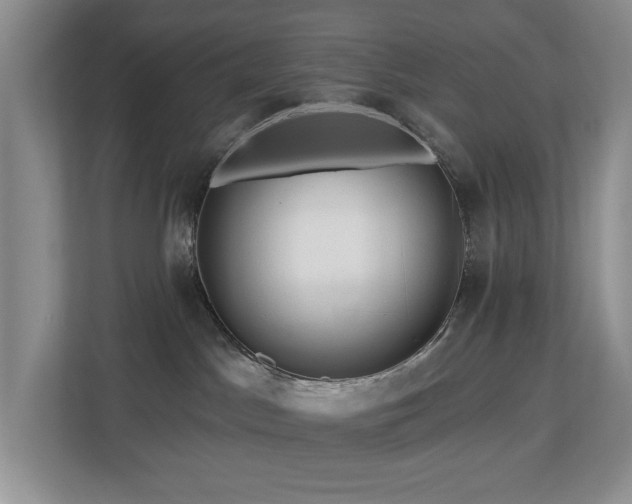 X0000112800045200908211142