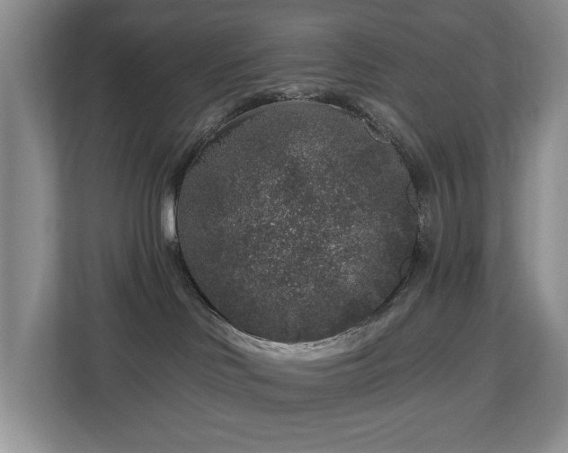 X0000112800046200908211142