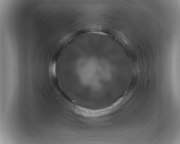 X0000112800047200908211142