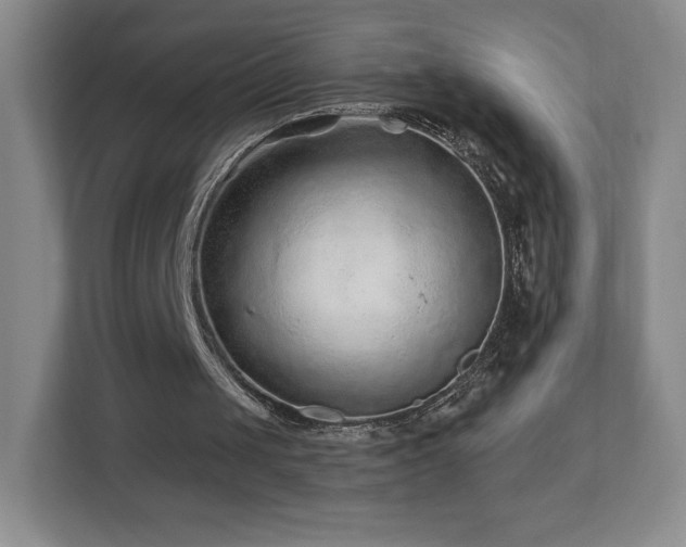 X0000112800049200908211142