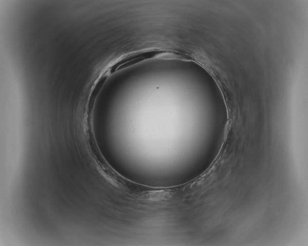 X0000112800050200908211142