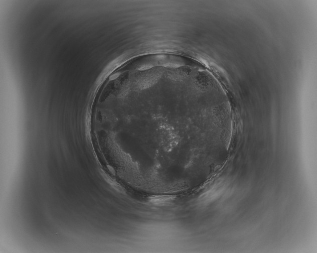 X0000112800051200908211142