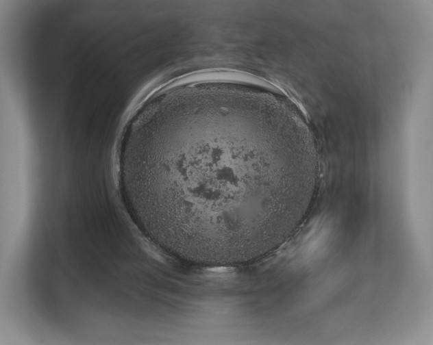 X0000112800053200908211142