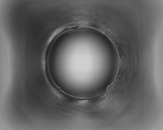 X0000112800054200908211142