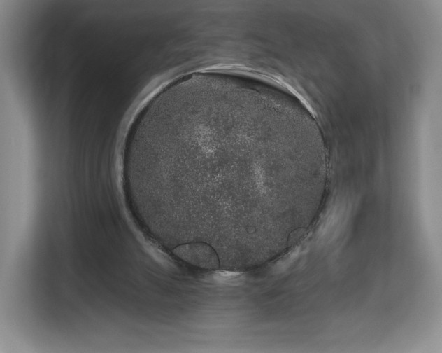 X0000112800055200908211142