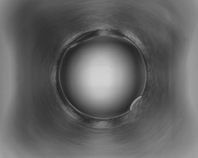 X0000112800058200908211142