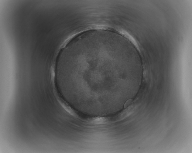 X0000112800059200908211142