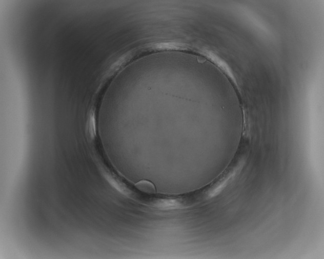 X0000112800061200908211142