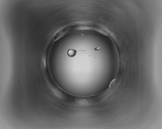 X0000112800062200908211142