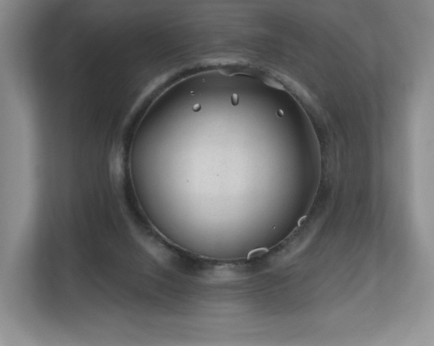 X0000112800064200908211142