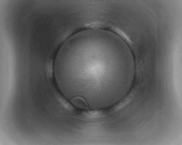 X0000112800065200908211142