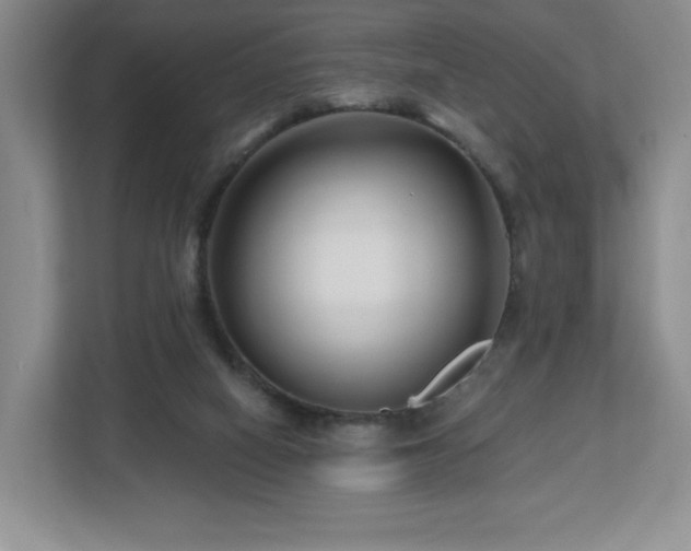 X0000112800066200908211142