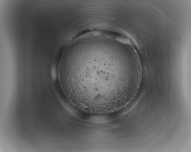 X0000112800069200908211142