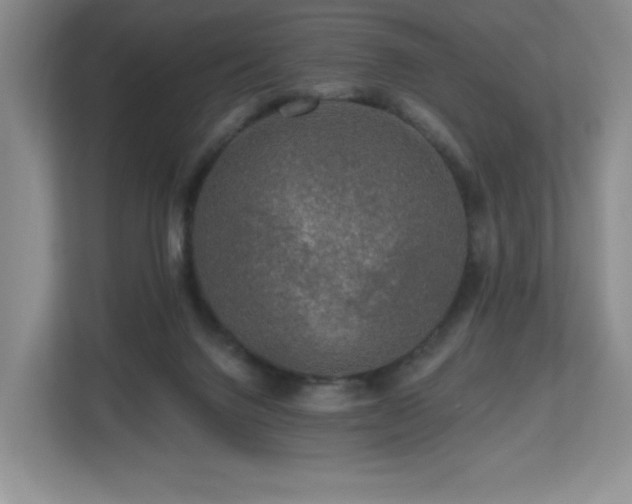 X0000112800072200908211142