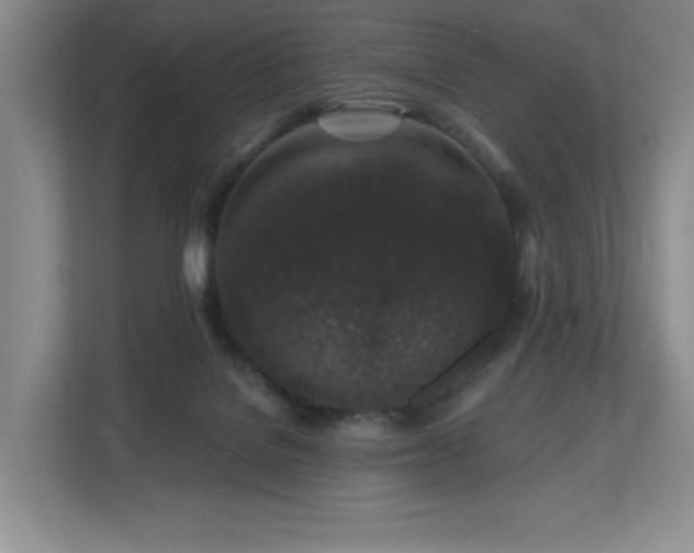 X0000112800076200908211142