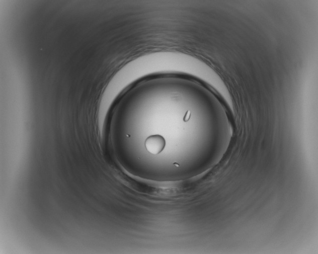 X0000112800084200908211142