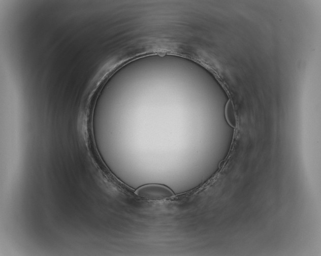 X0000112800098200908211142