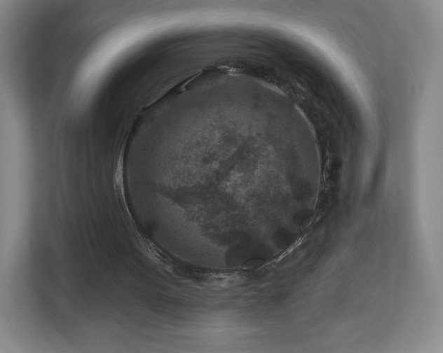 X0000112800099200908211142