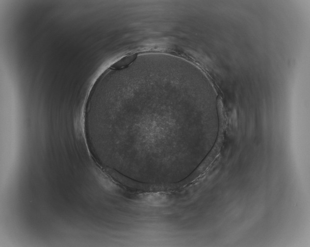 X0000112800100200908211142