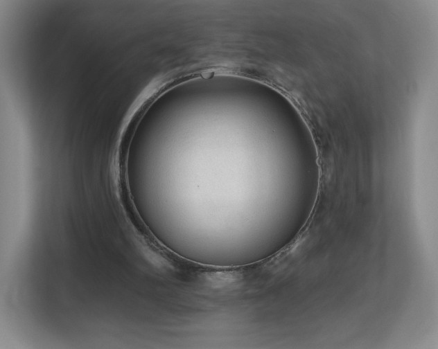 X0000112800102200908211142