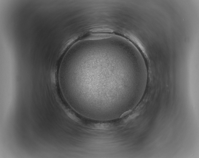 X0000112800105200908211141