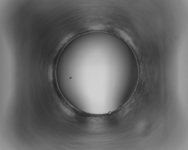 X0000112800106200908211141