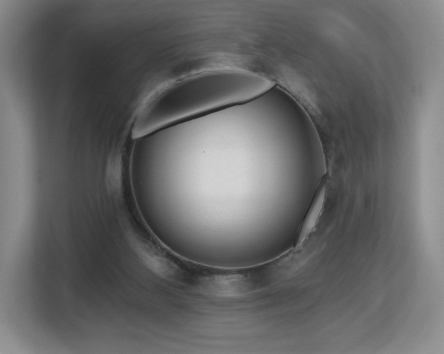 X0000112800108200908211141