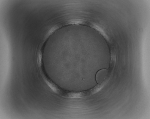X0000112800110200908211141