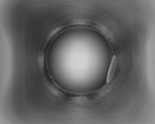 X0000112800112200908211141