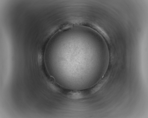 X0000112800113200908211141