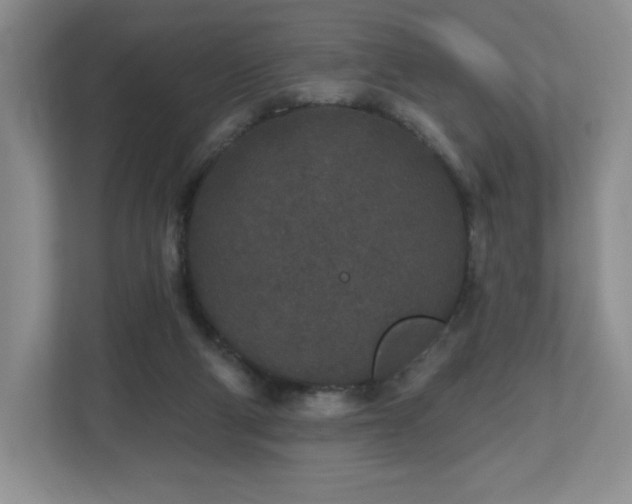X0000112800114200908211141