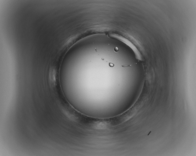 X0000112800115200908211141