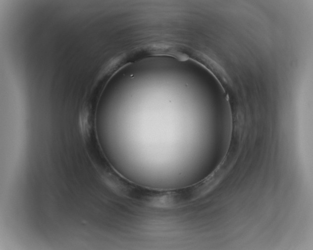 X0000112800116200908211141