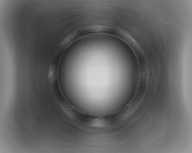 X0000112800119200908211141
