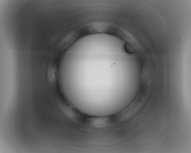 X0000112800122200908211141