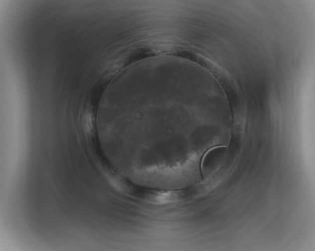X0000112800130200908211141